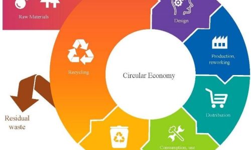 Économie circulaire et économie linéaire