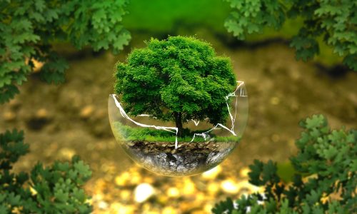 Environmental Concerns: External Environmental Factors for Adopting Corporate Greening