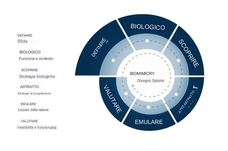 Biomimicry Design Spiral (IT)